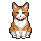 A cat sitting