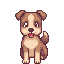 Brown Puppy