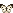 Cream and Brown Butterfly