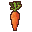 Crunchy Carrot