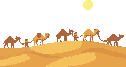 Desert Caravan