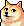 Doge Head meme