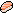 Fresh Salmon Nigiri