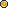Golden Coin
