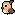 Little Brown Owl