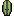 Little Green Cactus