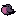 Little Pink Shell Creature