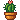 Potted Cactus
