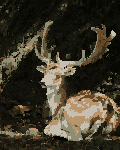 Resting Deer