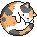 Round Calico Cat