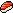 Salmon Nigiri