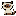 Siamese Cat