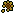 Spiky golden sunflower