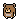 Tiny bear