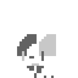 Amy SCT NES