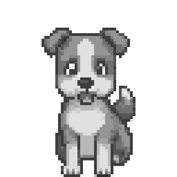 Brown Puppy