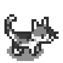 Calico Farm Cat