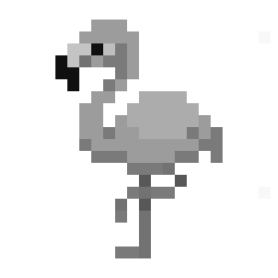 Greater flamingo