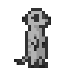 meerkat