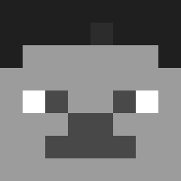 Minecraft: Steve face