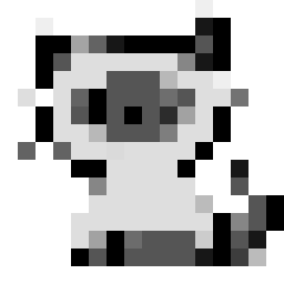 Siamese Cat