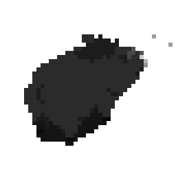 Wild Boar