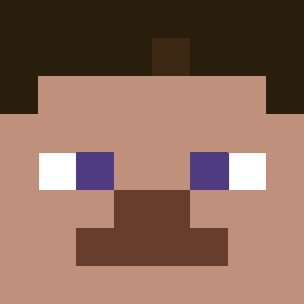 Minecraft: Steve face