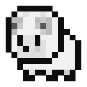 Baby sheep