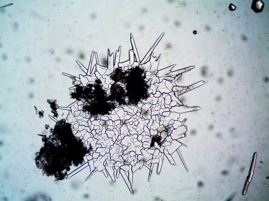 Johann Goeze First Described Tardigrades in 1773