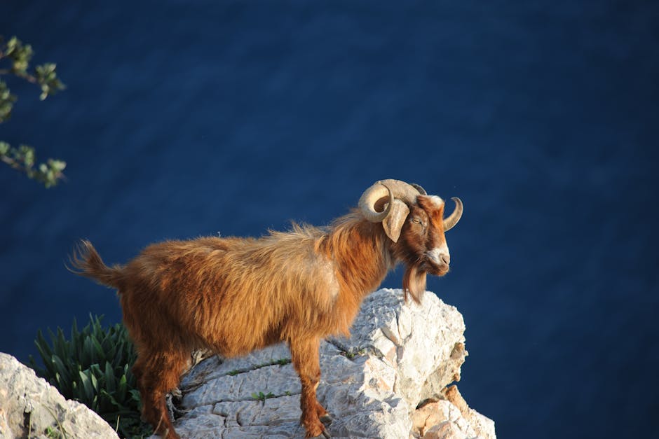 Typhon, Sea-Goat
