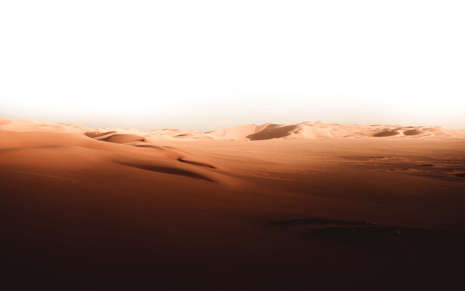 Desert