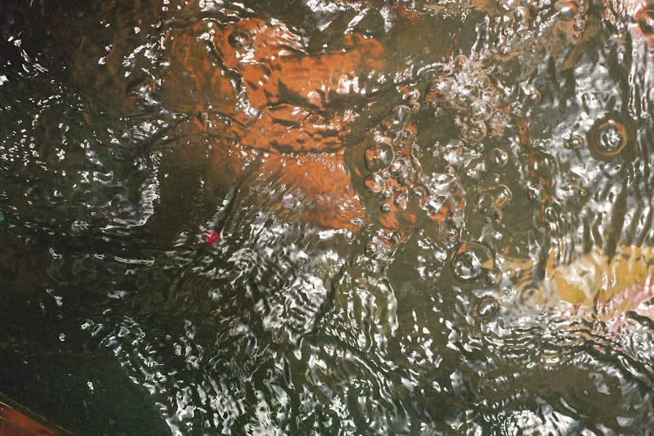 Pistol Shrimp Create Bubbles Hotter Than the Sun's Surface