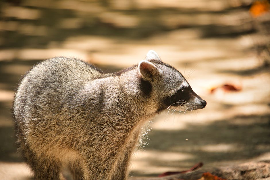 Costa Rica Hosts a Global "Blue Zone"