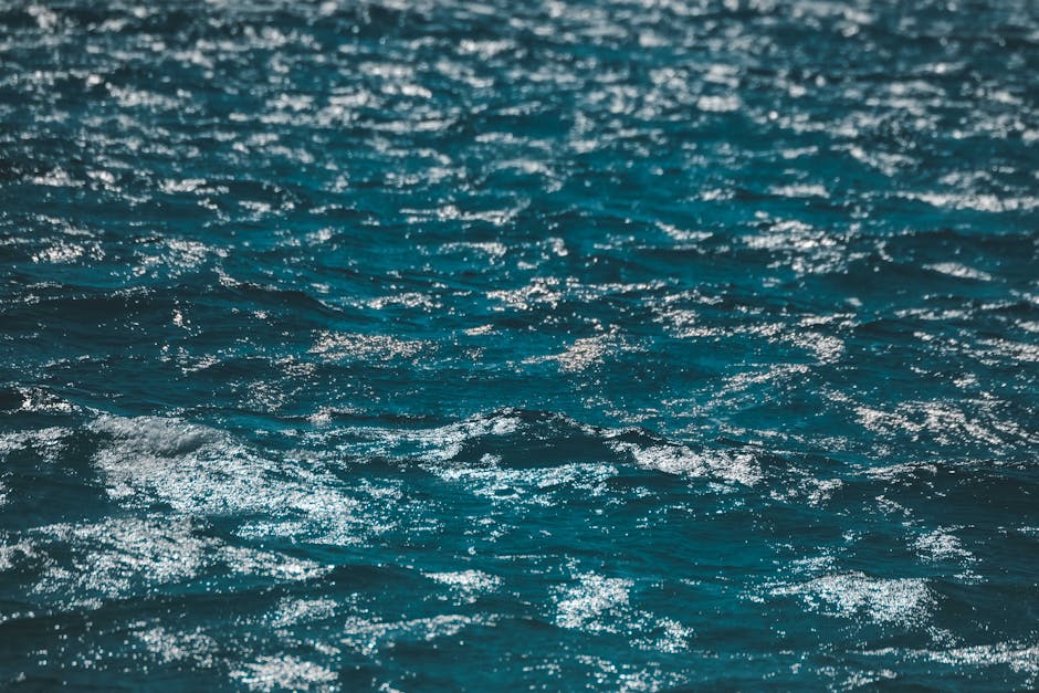 Aruba Offers World-Class Wreck Diving Sites