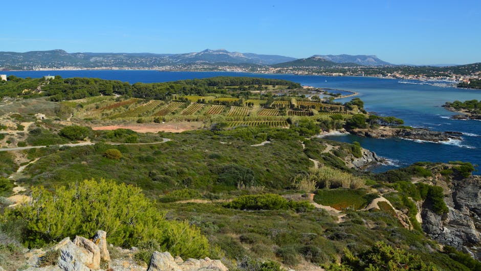 French Is Côte D'Ivoire's Official Language