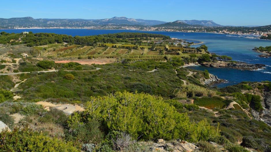 Côte D'Ivoire Is The World's Largest Cocoa Producer