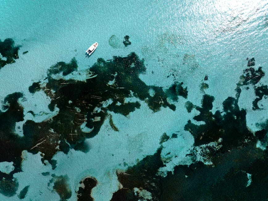 Rottnest Island