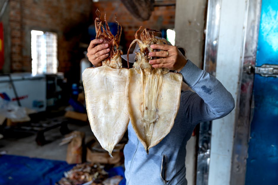 Colossal Squid