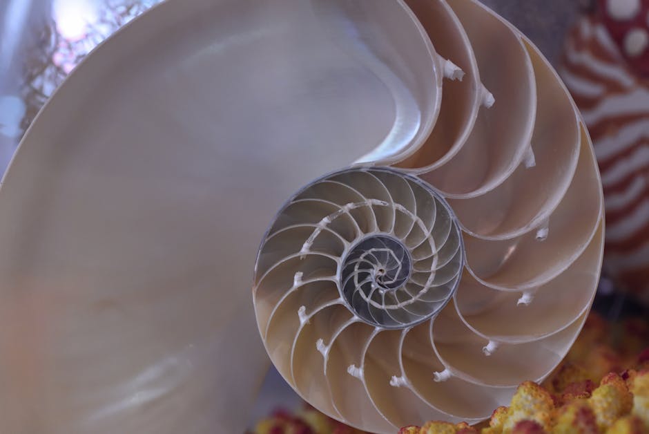 Fibonacci
