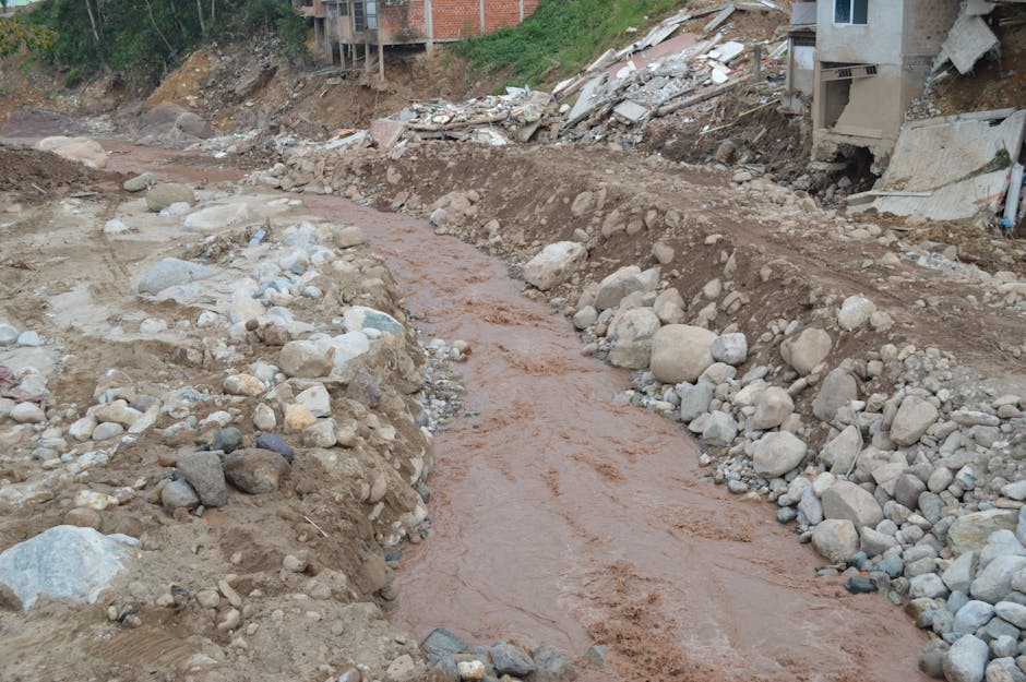 Eritrea Lacks an Official Language