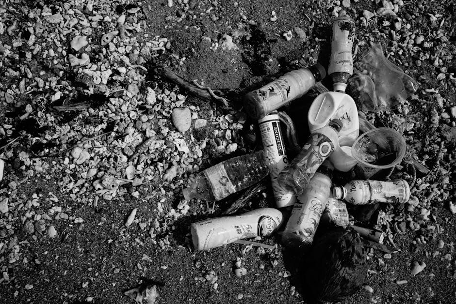 Great Pacific Garbage Patch