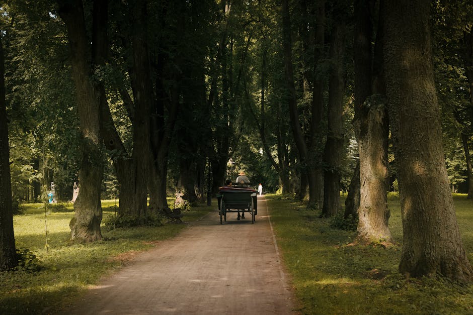 The Stalin Line, A Vast System Of World War II Fortifications, Is Now A Historical Park