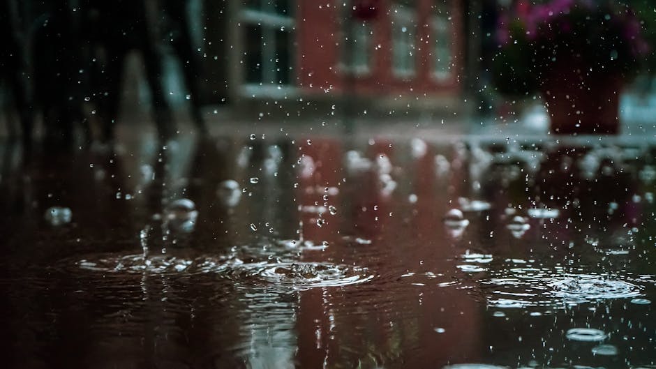 The Smell Of Rain Has A Name: Petrichor