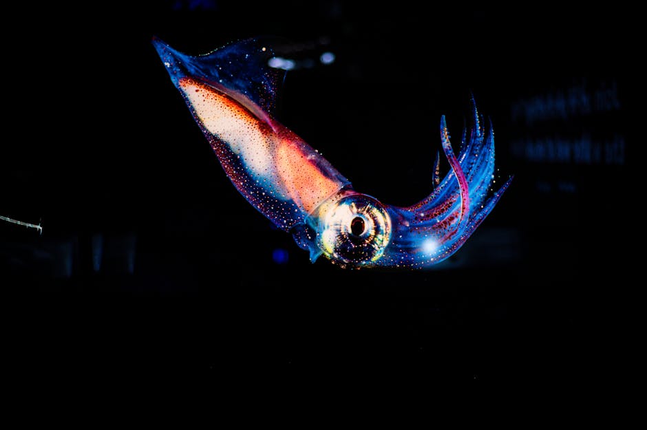 The Vampire Squid Shoots Bioluminescent Mucus as a Defense