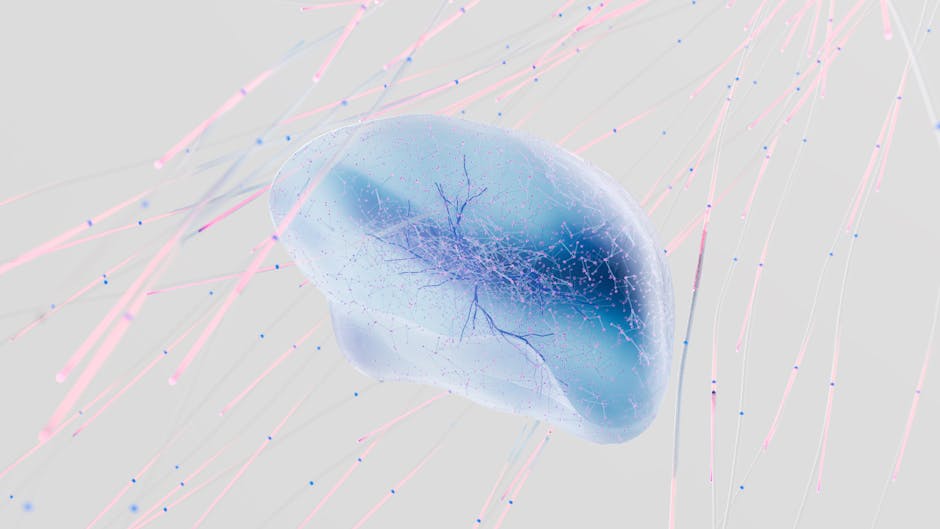 Neurons
