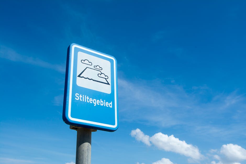 Libras Are Cardinal Air Signs, Initiating Social Change with Ideas.