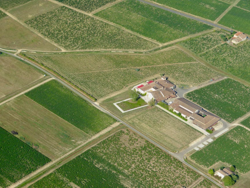 Belize Boasts the Western Hemisphere's Longest Barrier Reef System