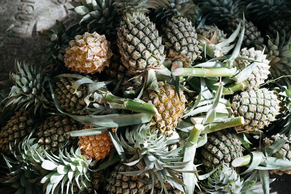 Black Pineapple