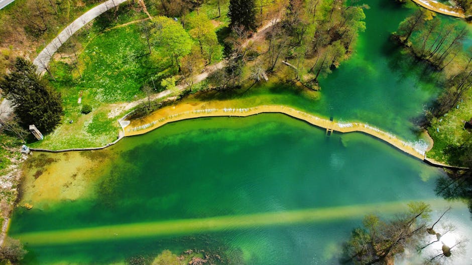 Sarajevo is Home to the Pristine Springs of the Bosna River