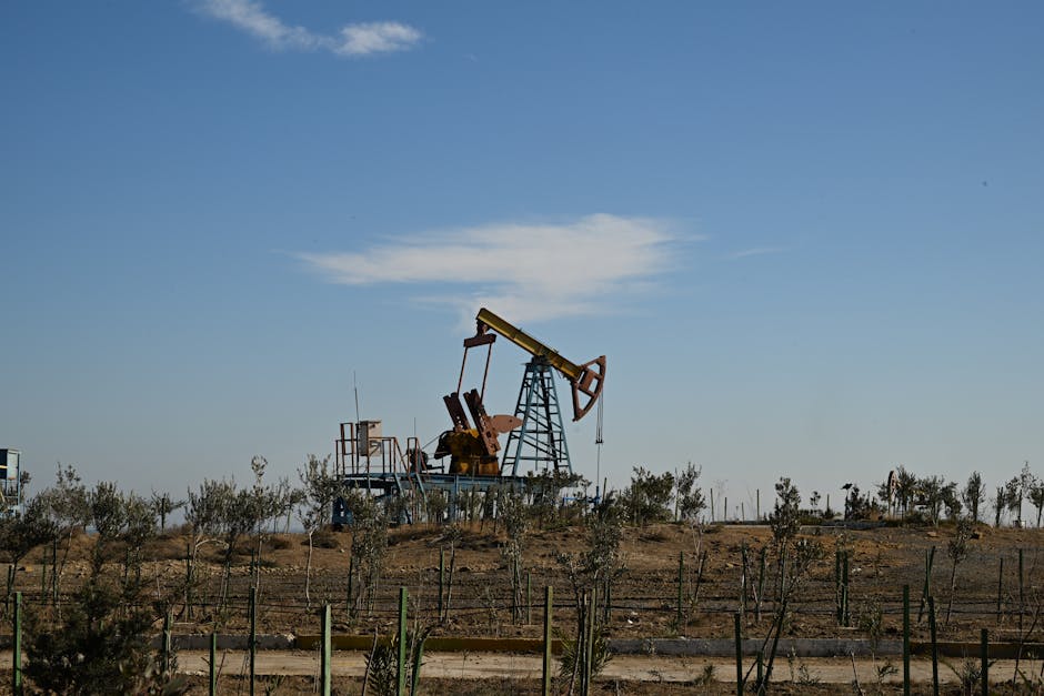 Oil Discovery Significantly Reshaped Chad's Economy In 2003